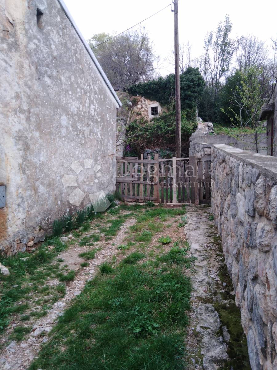  STARINA HRELJIN  