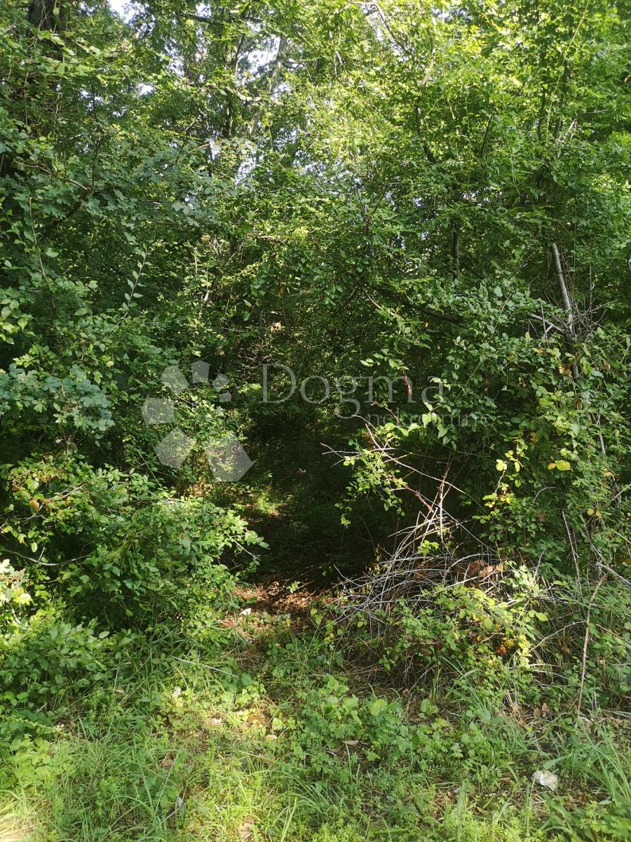   Grundstück Risika, Vrbnik, 1.349m2 