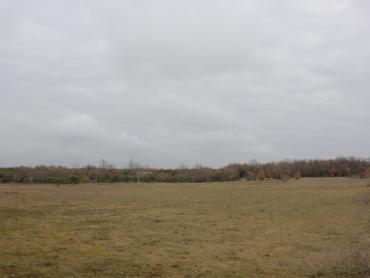 Земля Barbariga, Vodnjan, 4.527m2