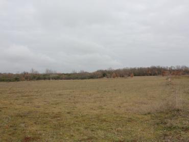 Земля Barbariga, Vodnjan, 4.527m2