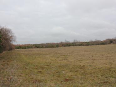 Земля Barbariga, Vodnjan, 4.527m2
