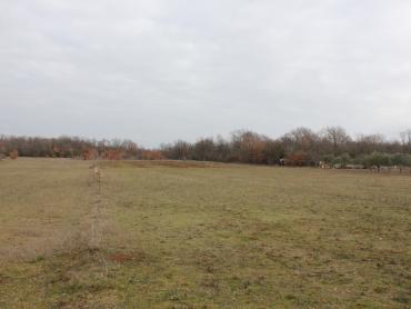 Земля Barbariga, Vodnjan, 4.527m2