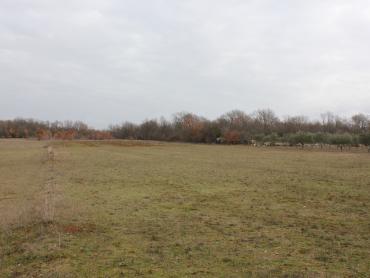 Земля Barbariga, Vodnjan, 4.527m2