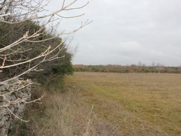 Земля Barbariga, Vodnjan, 4.527m2