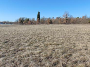 Земля Barban, 32.900m2