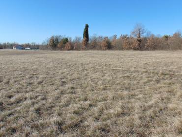 Земля Barban, 32.900m2