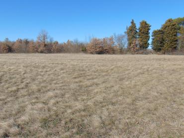 Земля Barban, 32.900m2