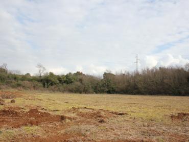 Земля Vodnjan, Fondole, 4.030m2
