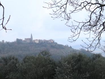 Земля Martinčići, Grožnjan, Cerije, 3.713m2