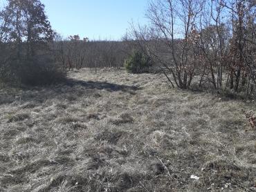 Земля Bale, 7.533m2