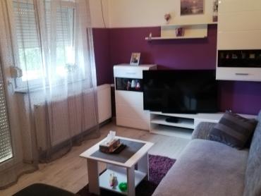 Brinje, kuća i pogon za proizvodnju i preradu mesa