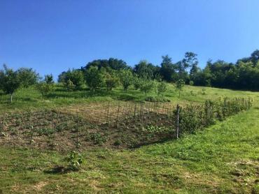 Bedekovčina - kuća 250m2 na mirnom mjestu
