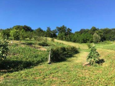 Bedekovčina - kuća 250m2 na mirnom mjestu