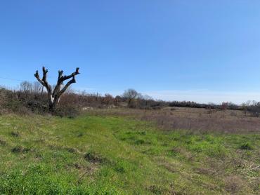 SVETVINČENAT – prekrasna parcela/ranč na granici urbane zone