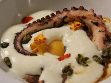 Novigrad, restoran i smještaj u miru koji tražite