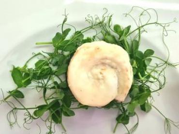 Novigrad, restoran i smještaj u miru koji tražite