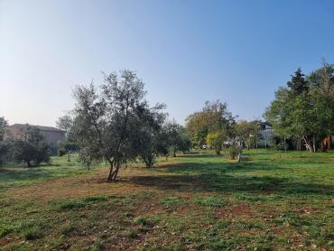 PRILIKA - 2 kuće i 2 građevinska zemljišta - LOBORIKA