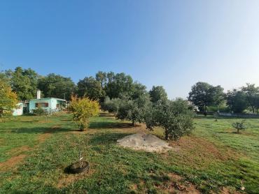 PRILIKA - 2 kuće i 2 građevinska zemljišta - LOBORIKA