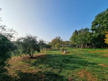 PRILIKA - 2 kuće i 2 građevinska zemljišta - LOBORIKA