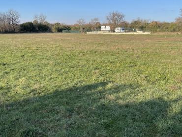 Terreno Barbariga, Vodnjan, 3.985m2