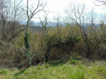 Terreno Grandići, Barban, 1.100m2