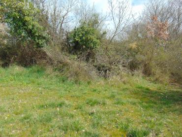 Terreno Grandići, Barban, 1.100m2