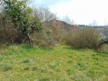 Terreno Grandići, Barban, 1.100m2