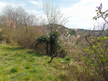 Terreno Grandići, Barban, 1.100m2