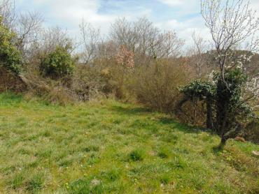 Terreno Grandići, Barban, 1.100m2