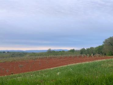 Земля Vižinada, 795m2