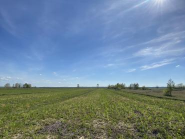 Земля Bratina, Pisarovina, 10.091m2