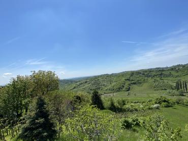 Земля Bratina, Pisarovina, 11.962m2
