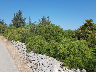 Земля Grohote, Šolta, 1.343m2