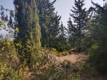 Земля Grohote, Šolta, 1.343m2