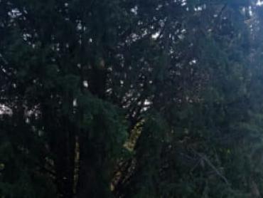 Земля Grohote, Šolta, 1.343m2