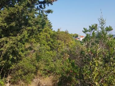 Земля Grohote, Šolta, 1.343m2