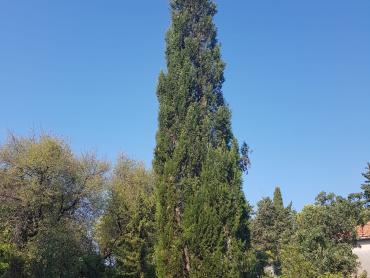 Земля Grohote, Šolta, 1.343m2