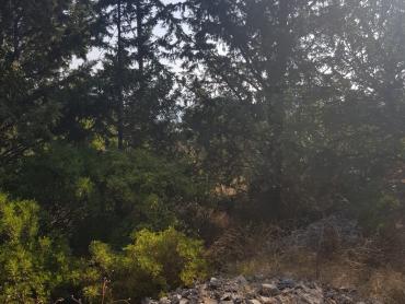 Земля Grohote, Šolta, 1.343m2