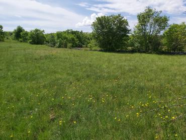Земля Nedešćina, Sveta Nedelja, 8.180m2