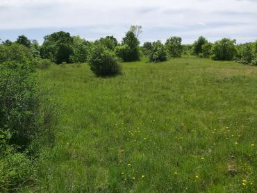 Земля Nedešćina, Sveta Nedelja, 8.180m2