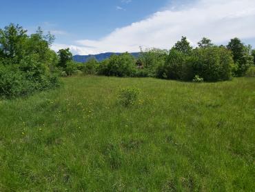 Земля Nedešćina, Sveta Nedelja, 8.180m2