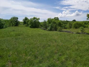 Земля Nedešćina, Sveta Nedelja, 8.180m2