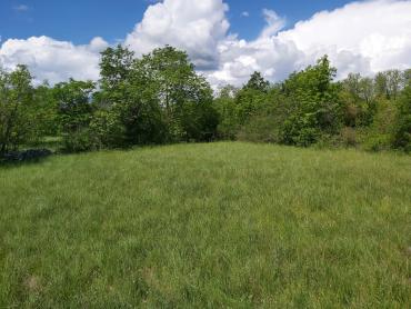 Земля Nedešćina, Sveta Nedelja, 8.180m2