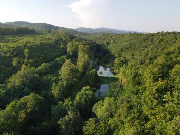 Ribnjaci Slavonija kod N.Gradiške