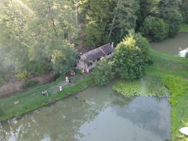 Ribnjaci Slavonija kod N.Gradiške