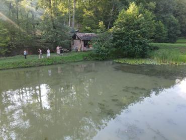 Ribnjaci Slavonija kod N.Gradiške