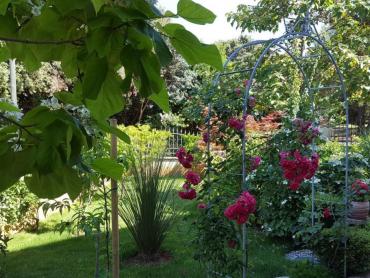 Predivna kuća sa apartmanima 300 m od mora