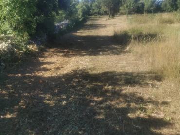 Poljoprivredno zemljište u Kavranu