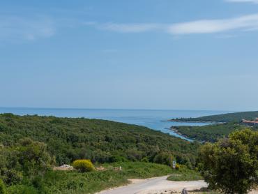 Luksuzna vila s bazenom - 500 m od mora