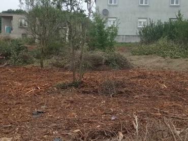 Prostrana građevinska parcela na odličnoj lokaciji